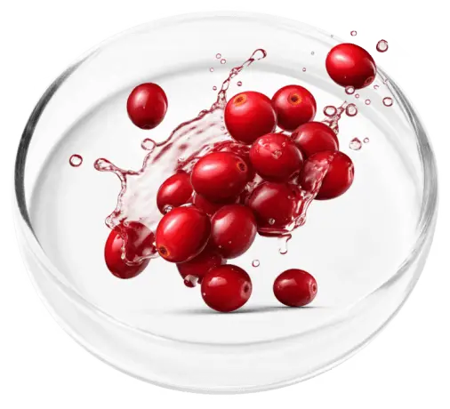 Cranberry Extract