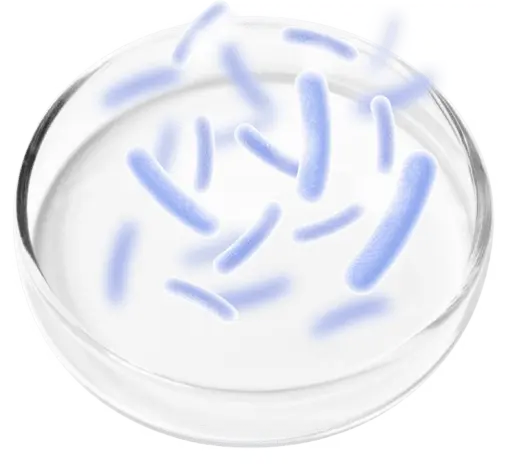 Probiotic Blend